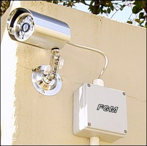 298206_116754938427305_988516937_n