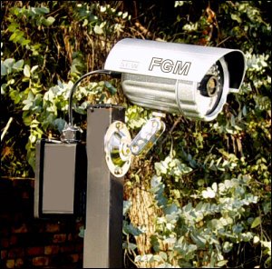 302885_116754975093968_1059421193_n